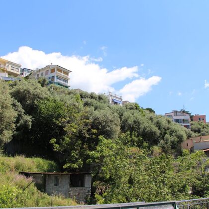 Panorami
