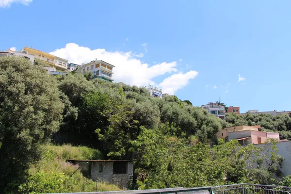Panorami